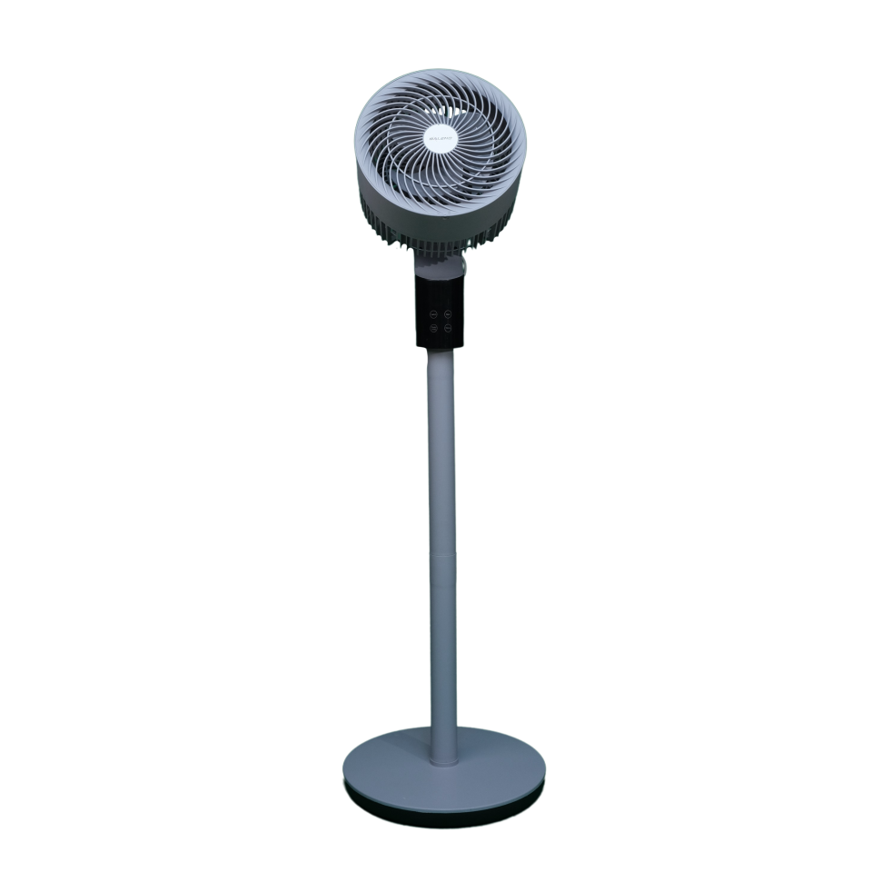 SF 8 BAAC - Platinum Gray